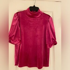 NWT bright pink velvet top.